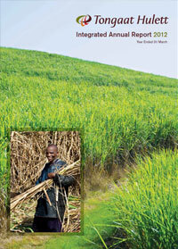 Integrated Annual Report 2012