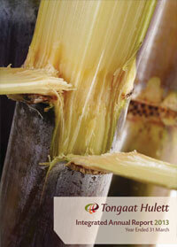 Integrated Annual Report 2013